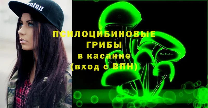 купить  сайты  Владивосток  Галлюциногенные грибы Psilocybe 