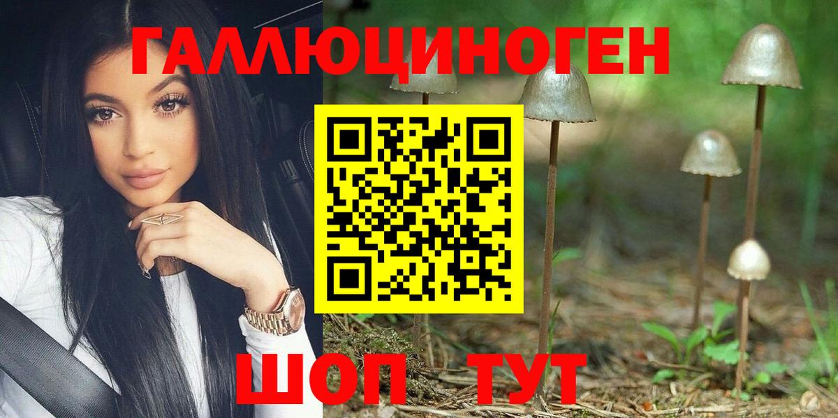 Псилоцибиновые грибы GOLDEN TEACHER  Галлюциногенные грибы MAGIC MUSHROOMS  Владивосток  Вход с VPN 