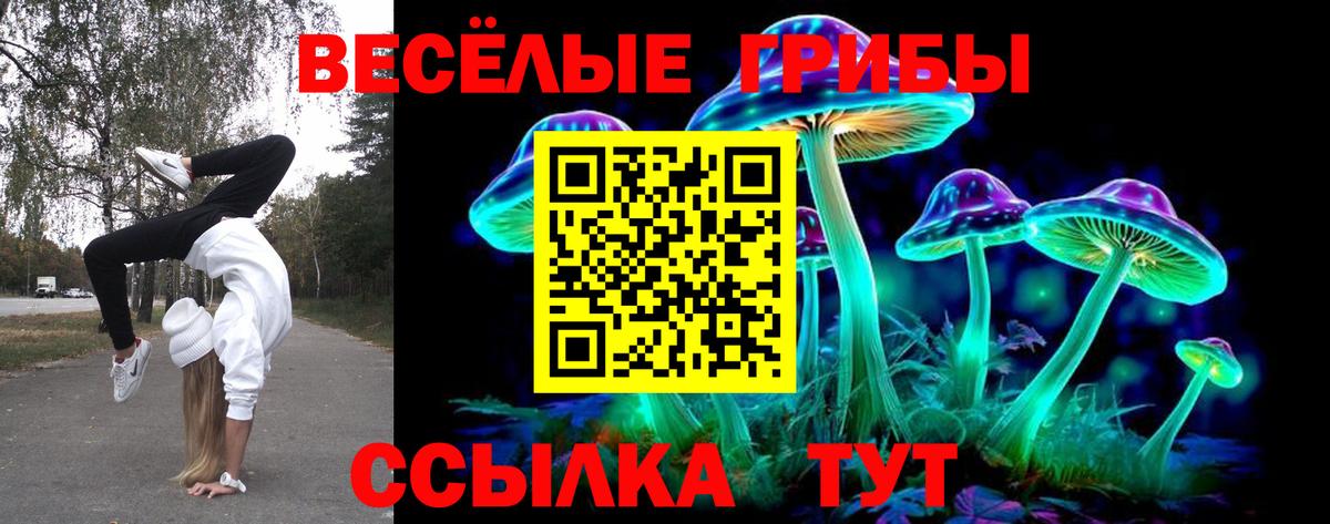 Галлюциногенные грибы GOLDEN TEACHER  Владивосток 